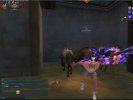IMG_2737.jpeg